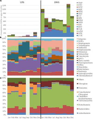 River Biofilms Microbiome and Resistome Responses to Wastewater Treatment Plant Effluents Containing Antibiotics